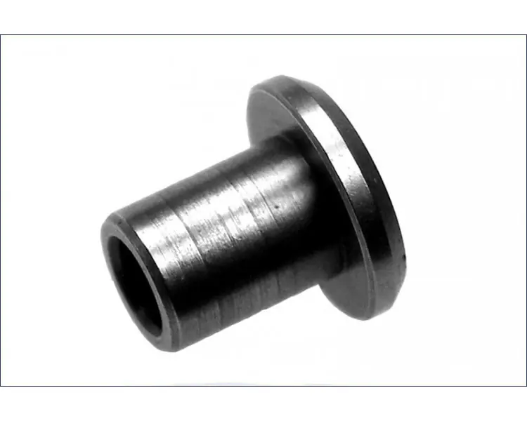 Promo Stagionale FUNGO GUIDA CAMPANA RR