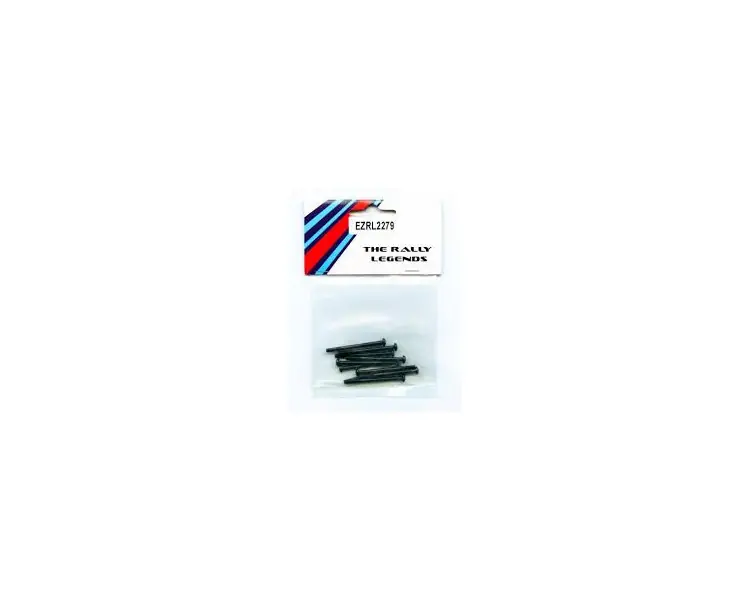 Compra Oggi Stesso VITE A BRUGOLA TESTA CILINDRICA 3X28MM