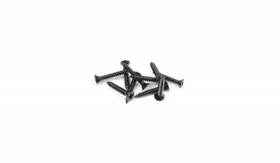 XRAY 909372 SCREW PHILLIPS SS 3.5 X 22 10 PZ Affare
