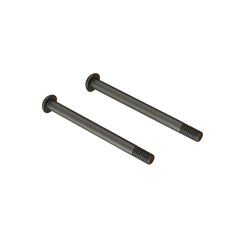 Screw Hinge Pin M4x48mm (2) Occasione