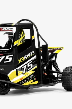 X-RIDER FLAMINGO 1/8 RC TRICYCLE RTR – BLACK Offerta Lampo