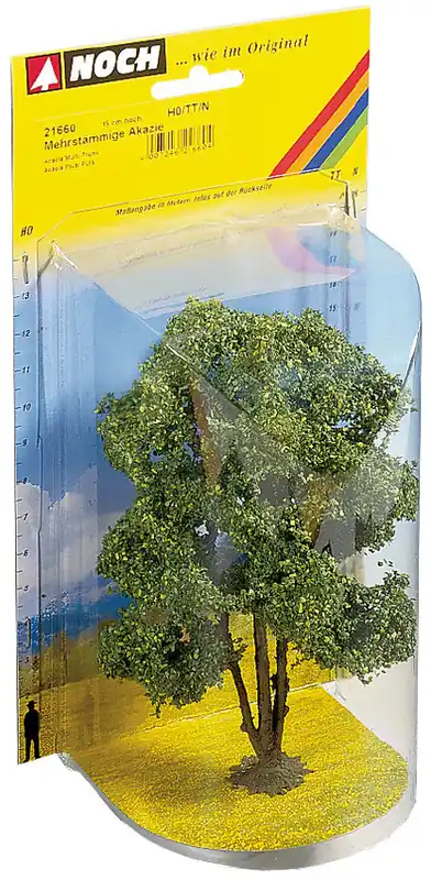 21660 Noch albero d‘acacia altezza cm. 15 Ultimissimo Modello