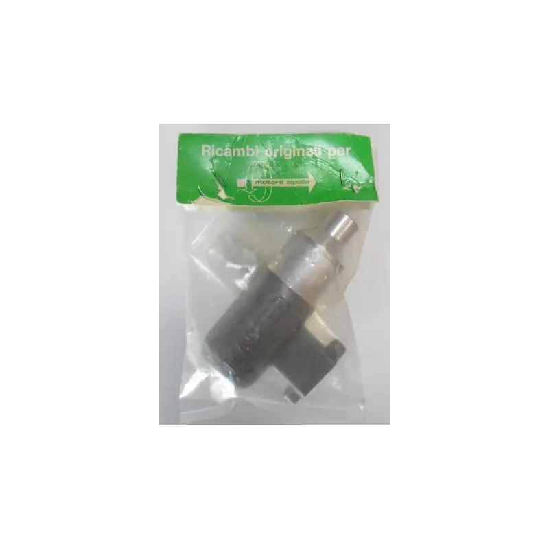 Offerta Speciale Marmitta Cipolla