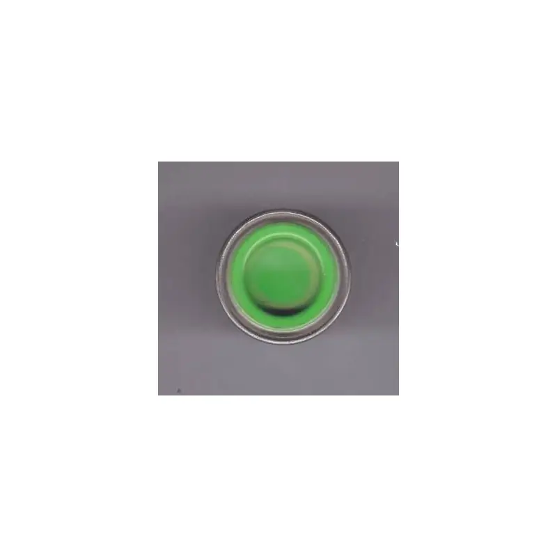 138 LIME MOLAK Compra Online