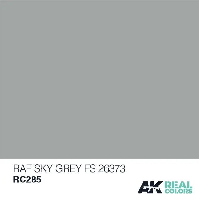 Acquista Ora RAF SKY GREY / FS 26373